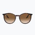 Sluneční brýle Ray-Ban RB2204 havana/light brown 2