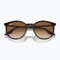 Sluneční brýle Ray-Ban RB2204 havana/light brown 3