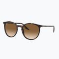 Sluneční brýle Ray-Ban RB2204 havana/light brown 4