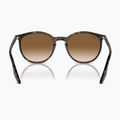 Sluneční brýle Ray-Ban RB2204 havana/light brown 5