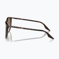 Sluneční brýle Ray-Ban RB2204 havana/light brown 6