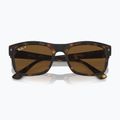 Sluneční brýle Ray-Ban RB4428 havana matte/brown polarized 3