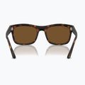 Sluneční brýle Ray-Ban RB4428 havana matte/brown polarized 5