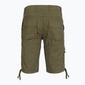 Pánské šortky Aeronautica Militare BE0041UCT01122 green 2