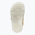Dětské barefoot boty Geox Steppieup ochre yellow/navy 6