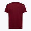 Pánské tričko  La Sportiva Solution sangria 2