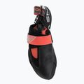 Dámské lezečky La Sportiva Theory hibiscus/black 5