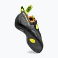 Pánské lezečky La Sportiva Tarantula carbon/lime punch 4