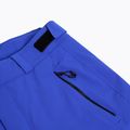 Pánské lyžařské kalhoty EA7 Emporio Armani Ski Cortina Toray new royal blue 7