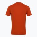 Pánské tričko EA7 Emporio Armani Visibility Cotton Crew rooibos tea 2