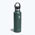 Turistická láhev Hydro Flask Standard Flex 620 ml jedle 2