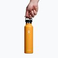 Termo láhev Hydro Flask Standard Flex Cap 710 ml fossil 3