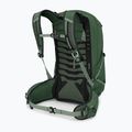 Pánský turistický batoh Osprey Talon 22 l green canopy/pine leaf  4