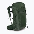 Turistický batoh Osprey Talon 33 l green canopy/ pine leaf 