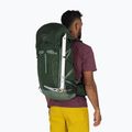 Turistický batoh Osprey Talon 33 l green canopy/ pine leaf  3
