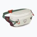 Ledvinka Osprey Transporter Waist Pack 3 l mystery white/moody burgundy 2