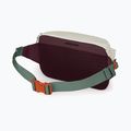 Ledvinka Osprey Transporter Waist Pack 3 l mystery white/moody burgundy 3