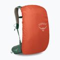 Pánský turistický batoh Osprey Stratos 24 l pine leaf 5