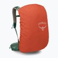 Pánský turistický batoh Osprey Stratos 34 l pine leaf 5
