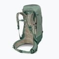 Pánský turistický batoh Osprey Stratos 44 l pine leaf 4