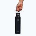 Termoláhev  Hydro Flask Standard Flex Cap 709 ml black 5