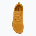 Pánské barefoot boty Xero Shoes Nexus Knit gold 5