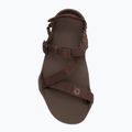 Pánské barefoot sandály Xero Shoes Z-Trek brown 5