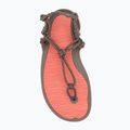 Dámské barefoot sandály Xero Shoes Aqua Cloud moel/sunset coral morel/sunset coral 5