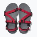 Dětské sandály Barefoot Xero Shoes Z-Trail charcoal/red pepper 5