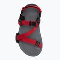 Dětské sandály Barefoot Xero Shoes Z-Trail charcoal/red pepper 5