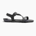 Pánské barefoot sandály Xero Shoes Z-Trail EV steel gray/asphalt