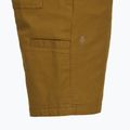 Pánské šortky Royal Robbins Half Dome coyote 4