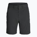 Pánské kalhoty Royal Robbins Wilder Zip-Off charcoal 9