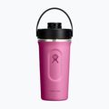 Shaker hydro  Flask Insulated Shaker 710 ml reef