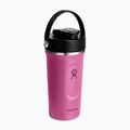 Shaker hydro  Flask Insulated Shaker 710 ml reef 2