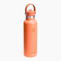 Termo láhev Hydro Flask Standard Flex Straw 620 ml nektar 2