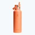 Termo láhev Hydro Flask Standard Flex Straw 620 ml nektar