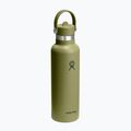 Termo láhev Hydro Flask Standard Flex 621 ml palmer green 2