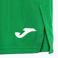 Pánské běžecké šortky Joma Record II green 4