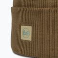 Kulich BUFF Crossknit ginkgo 2