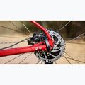 Horské kolo Marin Bobcat Trail 3 29 gloss charcoal/red/black 6