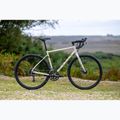Gravel kolo Marin Nicasio 1 700C bone grey 3