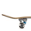 Klasické skateboardové Tricks Rose Complete TRCO0022A004 5