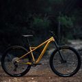 Horské kolo Orbea Laufey H30 2023 gold N24917LX 8
