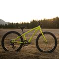 Dětské kolo Orbea MX20 Team žluté M00520I6 6