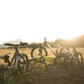 Dětské kolo Orbea MX20 Team žluté M00520I6 8