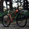 Orbea Onna 29 50 horské kolo červená M20721NA 11