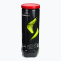 Míče na padel Siux Neo Box 72 pack red 3