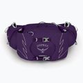 Pánská ledvinka Osprey Tempest 6 l violac purple 