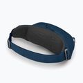 Ledvinový vak Osprey Daylite Waist 2L navy blue 10003247 11